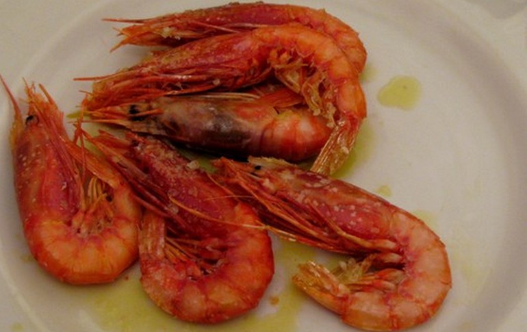 italy best seafood cuisine