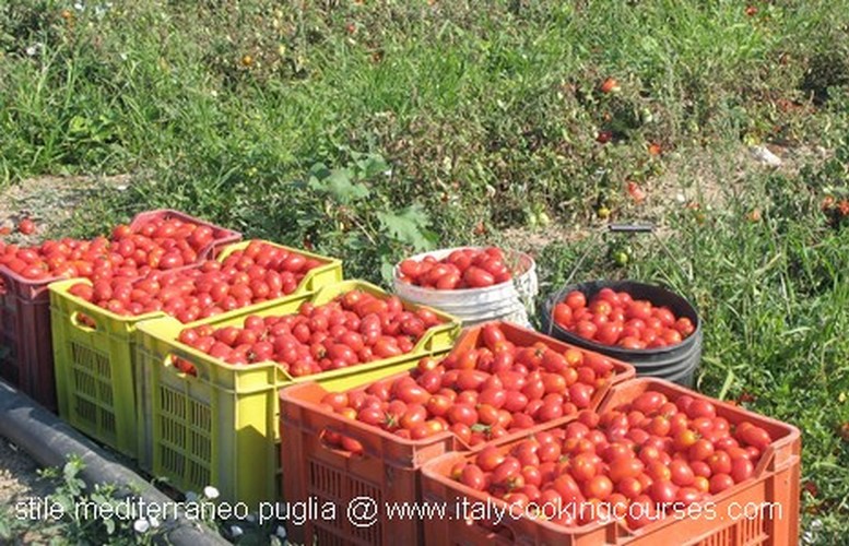 italy best fruit markets