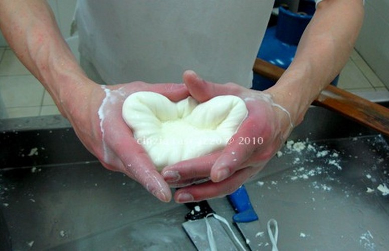 how to make burrata cheese