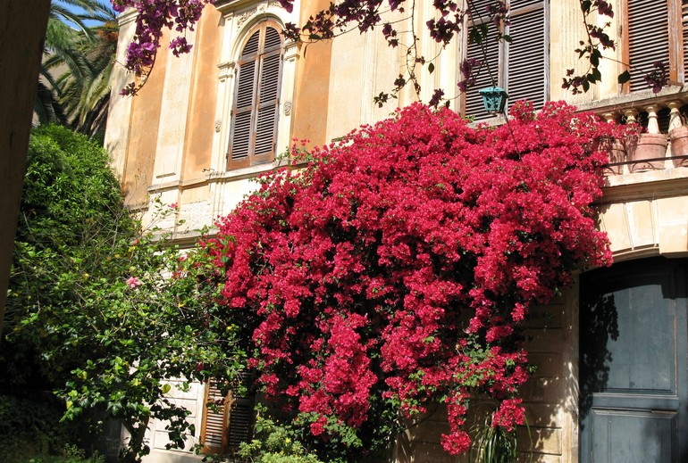 lecce puglia italy