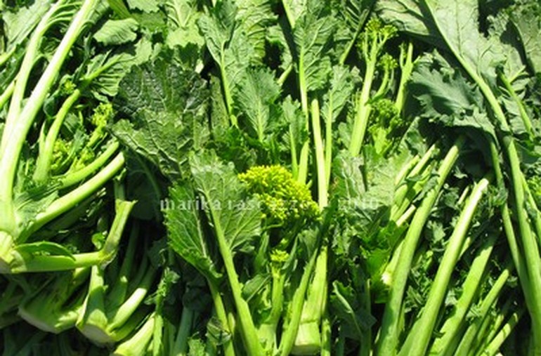 italian orecchiette with cime di rapa