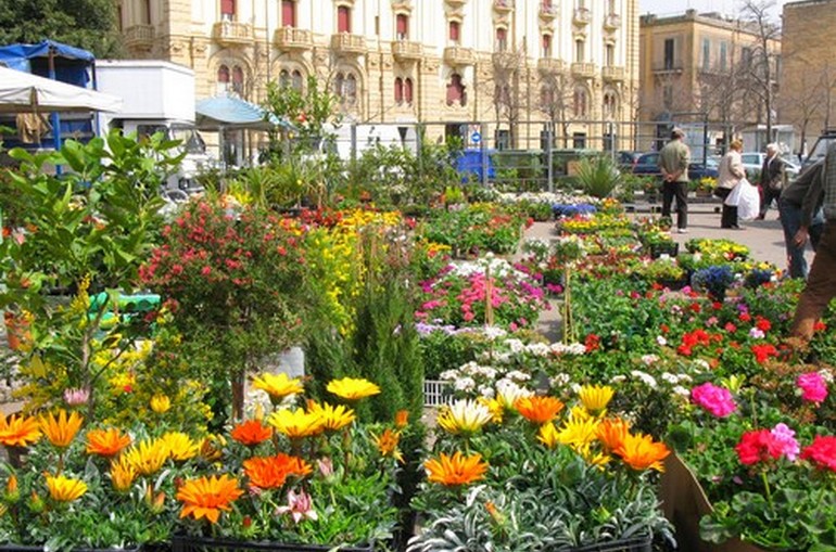 italian markets