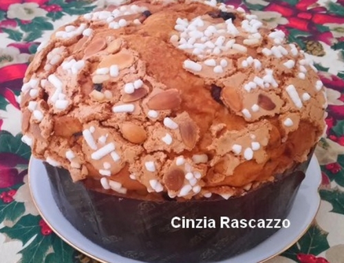 Healthy panettone cake for our Christmas in Italy