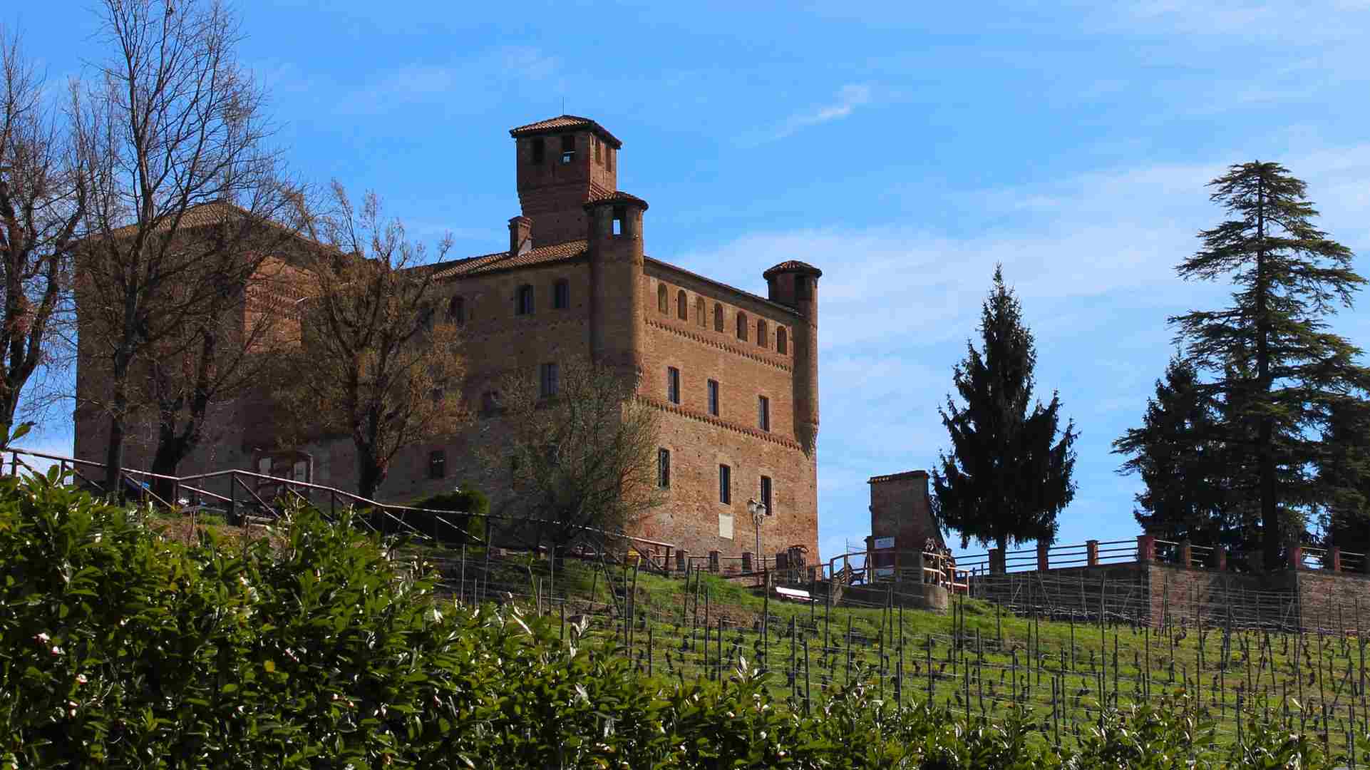 Italy wine tours Artisans of Taste