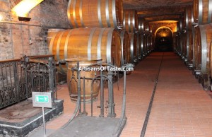 Italy wine tour
