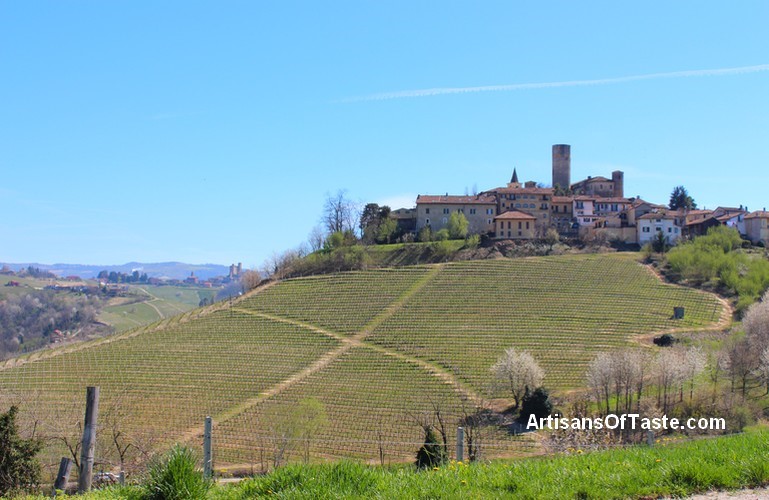 Barolo wine tours